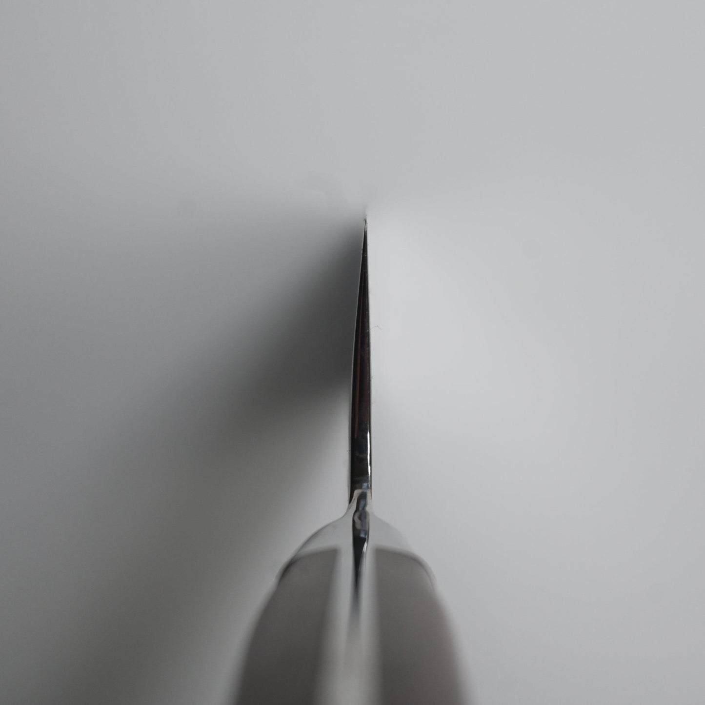 Seki Mae - Kiritsuke, 210 mm | MoV Damascus Steel - Japaneseknivesau
