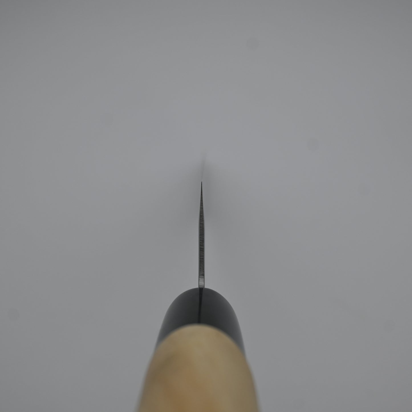 Satake Wabocho - kiritsuke, 200mm | 420J2 steel