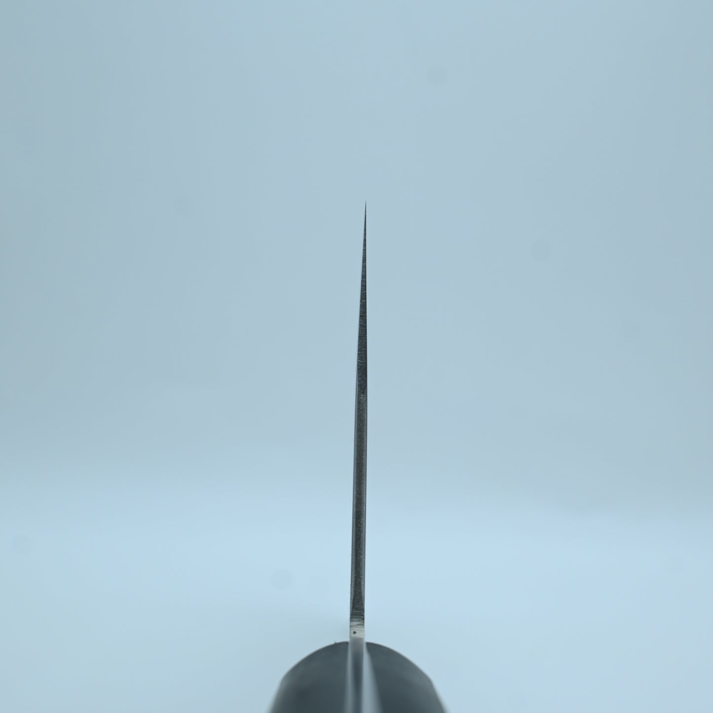 Sakai Takayuki - Chinese cleaver, 210 mm | 16 Chrome High Stainless Mo Steel
