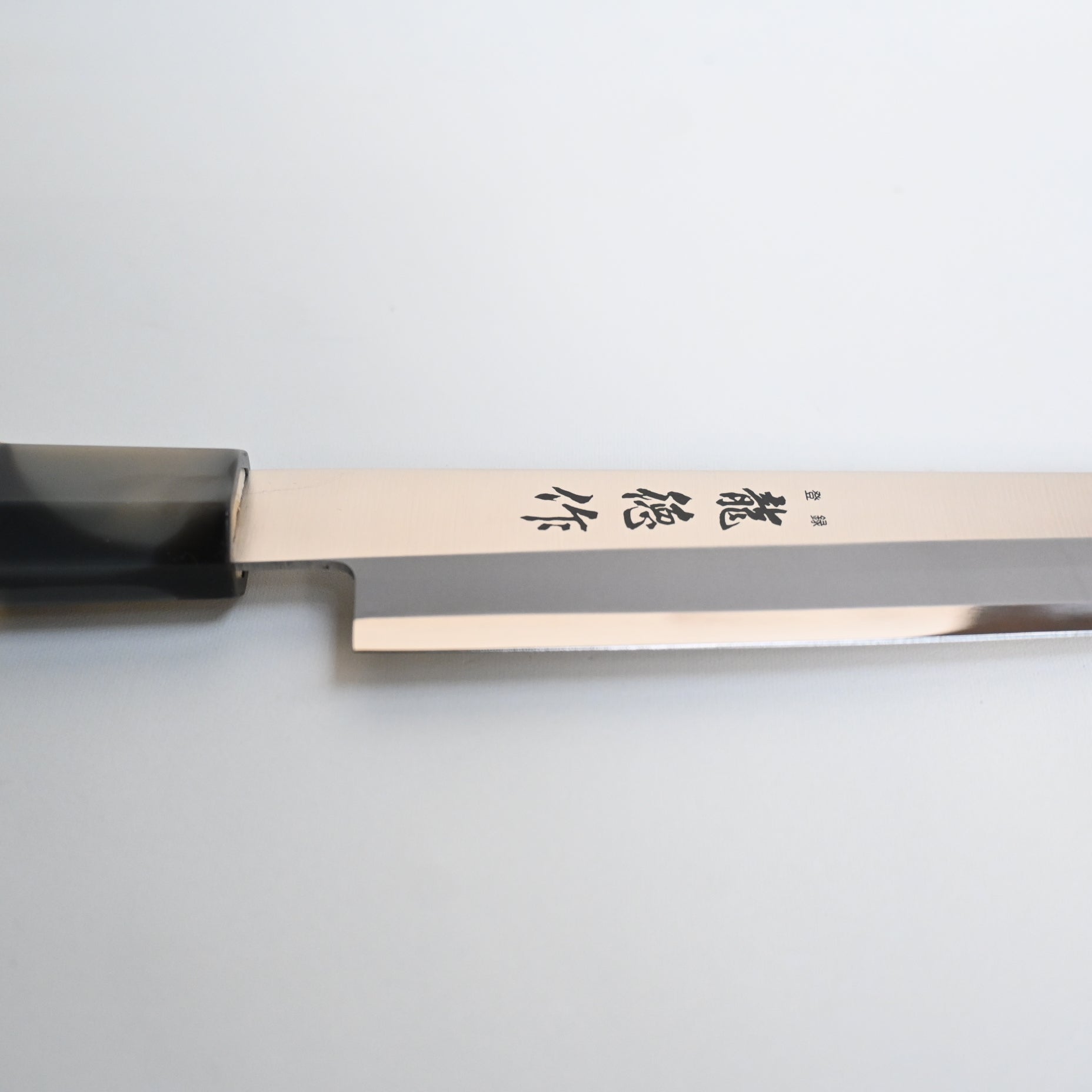 Ryu Toku - Yanagiba, 210mm | Stainless Steel - Japaneseknivesau
