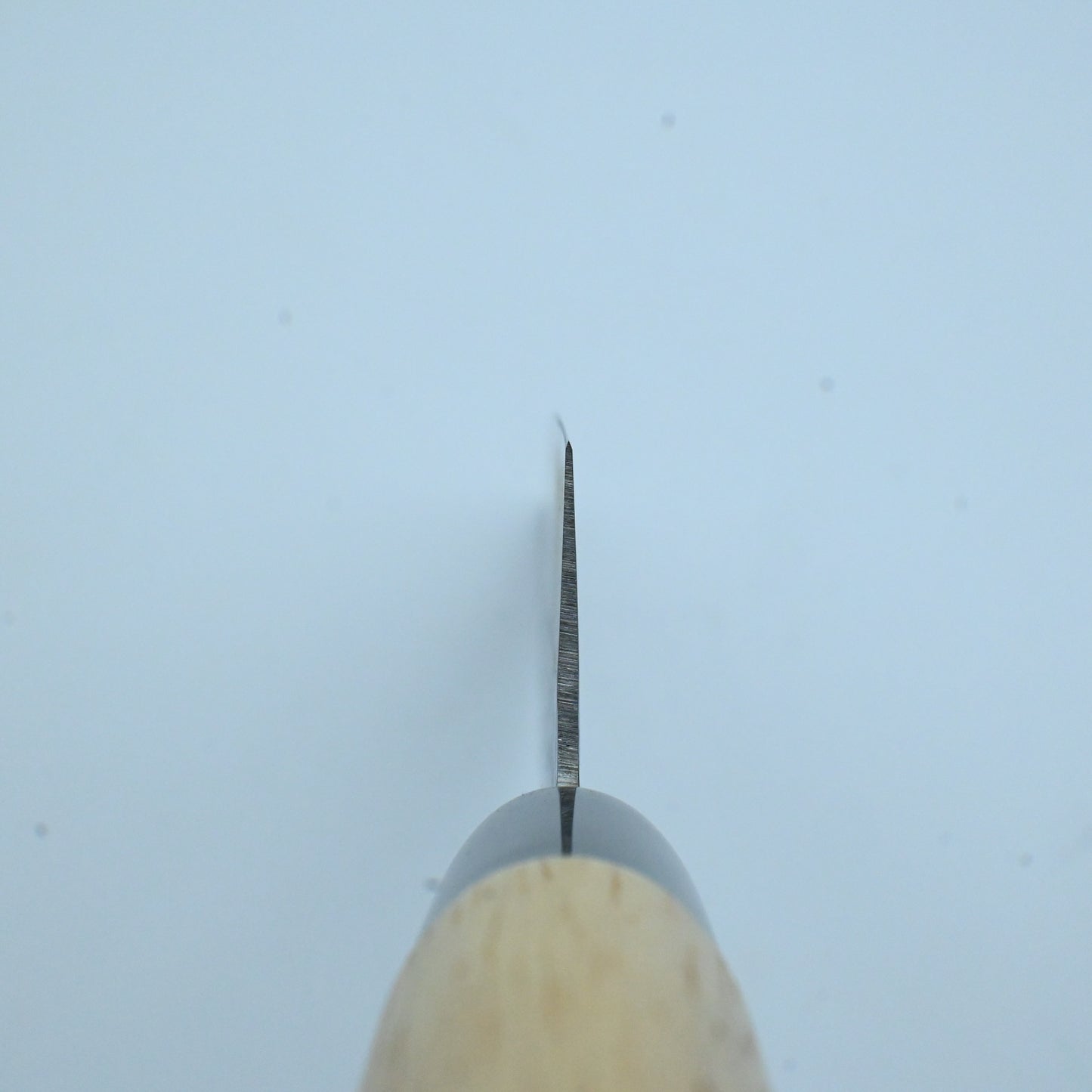 Satake Megumi- Santoku, 170 mm | AUS-6A AICHI stainless steel